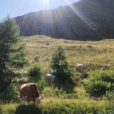 Апартаменты Locazione Turistica Varaita-brossasco *