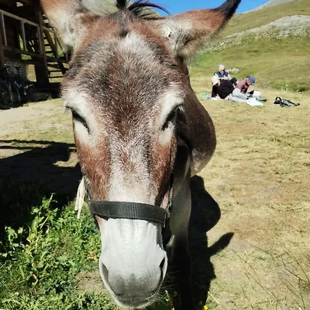 Locazione Turistica Varaita-brossasco
